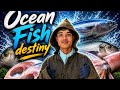 New update about Ocean Fish 🐟 All in one👍