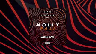 Hormy x Sing-Ones - Molly Pali (Jusoan Remix)