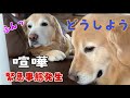 そらくん最終日にまさかの喧嘩そして緊急事態