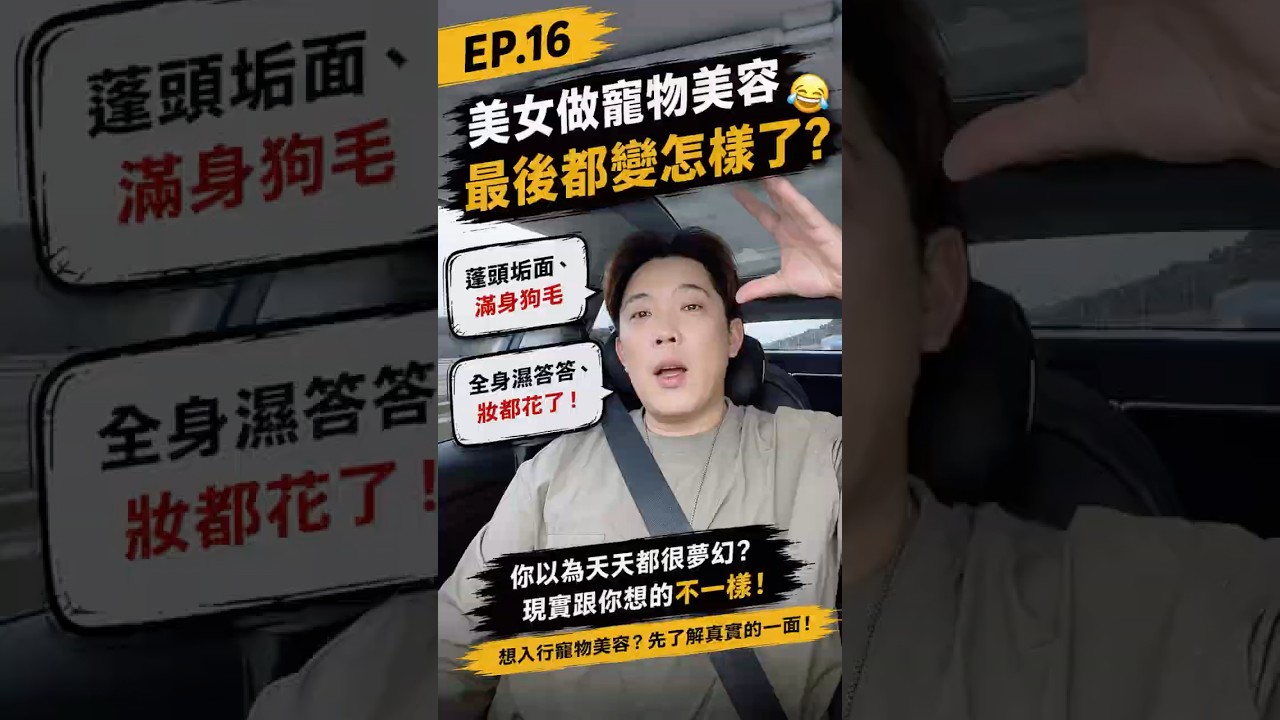 EP16|美女做寵物美容,最後都變什麼樣了? 縮圖
