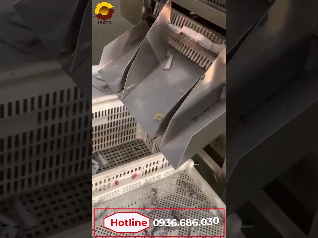 Cá dài, cá cứng nay đã có máy cắt khúc cá siêu nhanh| Hotline 0936.686.030 | VinaIrato