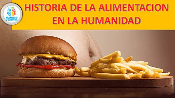 ¿Cuándo empezó el ser humano a cocinar los alimentos?