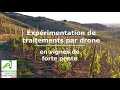 Expérimentations de traitements par drone en vignes de forte pente