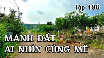 nợ dí quá chừng luôn ! anh BÌNH rao bán hơn 2 sào đất đỏ trả nợ . đất vườn bà rịa vũng tàu