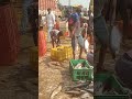 मछली gudivada to Ludhiana