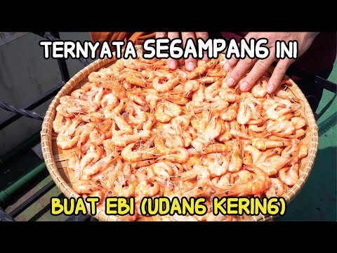 Udang Ebi