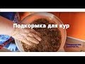 Можно ли курам употреблять в пищу отруби