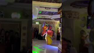 Восточный танец с крыльями бабочки. Анастасия Малай. Бабочка. Танец живота. Восточные танцы в Крыму