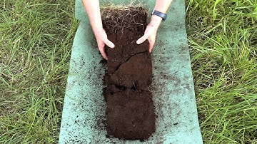 4. Field Methods II: The Soil Monolith