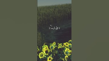 ما تيسر من سورة البقرة [الآية 186] القارئ الشيخ فارس عباد  #faresabbad