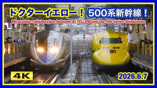 大興奮 !! ドクターイエロー＆500系新幹線 奇跡の競演 !!! 新大阪駅 2026.6.7【4K】