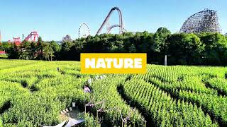 A DAY WITHOUT A PHONE 📵 IN A CORN FIELD MAZE! 🌽😱