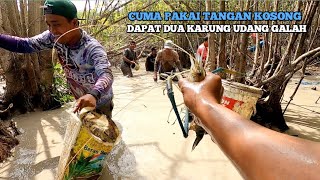 KALSEL MUSIM KEMARAU GOGOH UDANG GALAH DAPAT 2 KARUNG