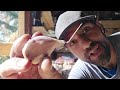 Ep 24-Firewood Harvest, Planting Garlic & Food Forest Clean Up