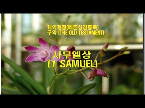 개역개정 성경 사무엘상