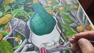Tipsy Kererū: Capturing the Charm of New Zealand's Native Wood Pigeon