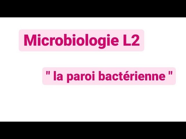 Microbiologie L2 : la paroi bactérienne