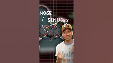 Why do we get sore throats?