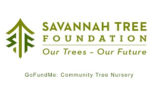 Savannah Tree Foundation: Community Tree Nursery #gofundme