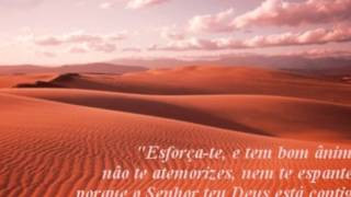 Video thumbnail of "Provaçoes Planta e raiz"