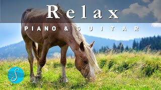 Relaxation Music with Piano and Guitar
