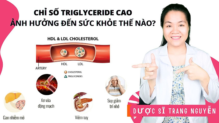 Chỉ số hdl và ldl c là gì năm 2024