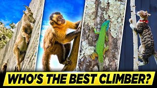 Who's the Best Climber? | A Very Nerdy Analysis (Part 1)