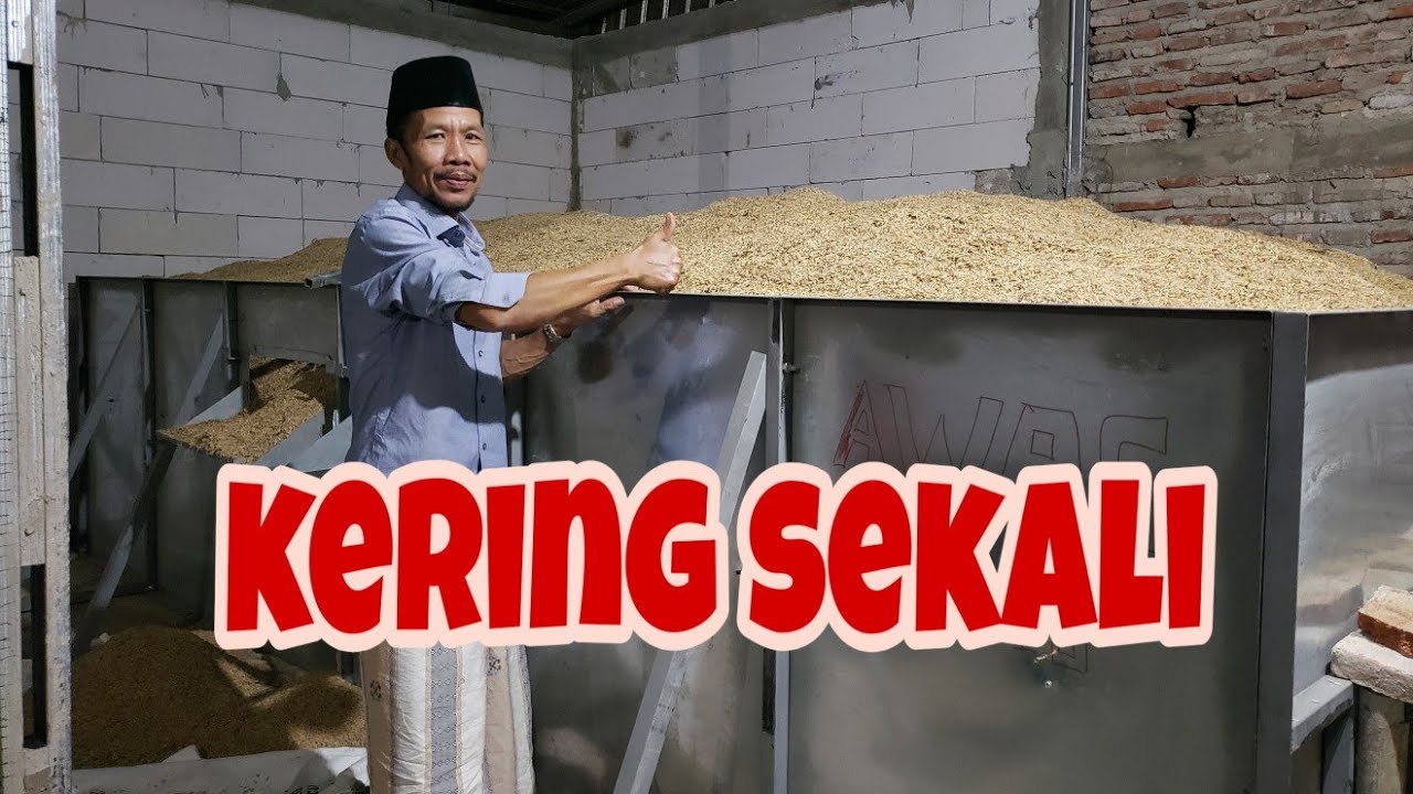 Pertama kali nyobain oven/pengering padi