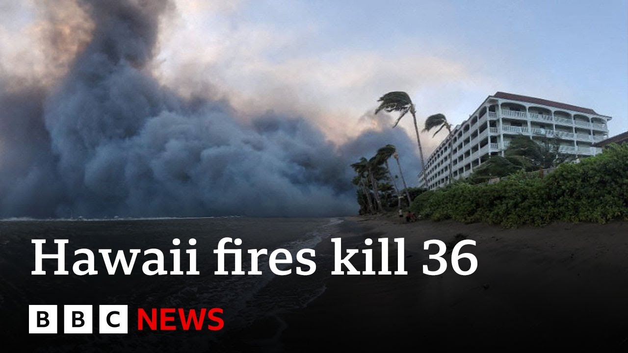 At least 36 killed as wildfires tear through Maui island in Hawaii – BBC News