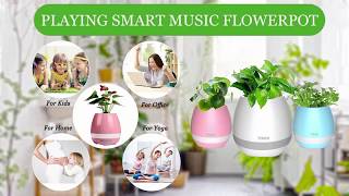 This Plant Will Give You Beautiful Music Response With Just One Touch! | Music FlowerPot screenshot 5