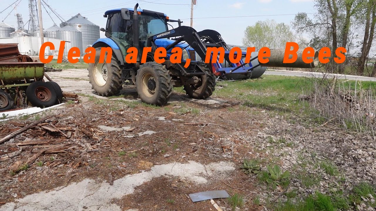 New clean area for Bees! 