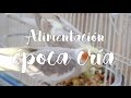 Alimentación en época de cría en LOROS