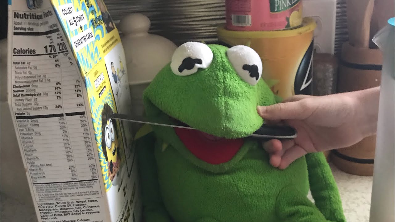 kermit oven mitt