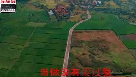 当做没有爱过我#Dang Zuo Mei You Ai Guo Wo (Cover Instrumental Best Music).MP4