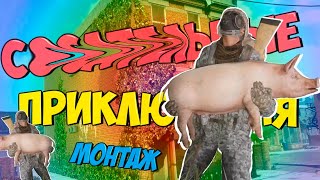 ПОЗНАВАТЕЛЬНЫЕ ПРИКЛЮЧЕНИЯ - МОНТАЖ (РУДИ, МОРГАН)