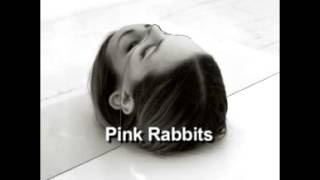 Video voorbeeld van "The National - Pink Rabbits"