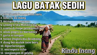 Driving in SIBANGGOR JULU | Lagu batak full album so boi mulak martahun baru, sihol tu da inang