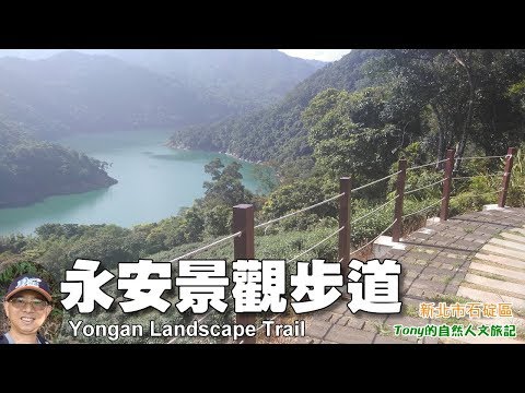 翡翠水庫後花園—適合大人小孩踏青的永安景觀步道，這也是淡蘭古道!?