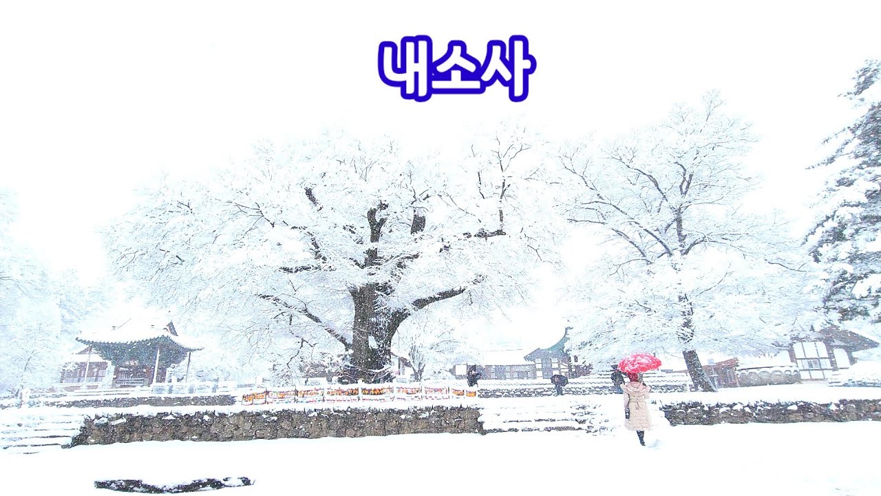 내소사 / 서해안폭설 / 변산반도 / Buan Naesosa Temples 