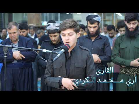 صاحب الصوت العذب القارئ أري محمد الكردي