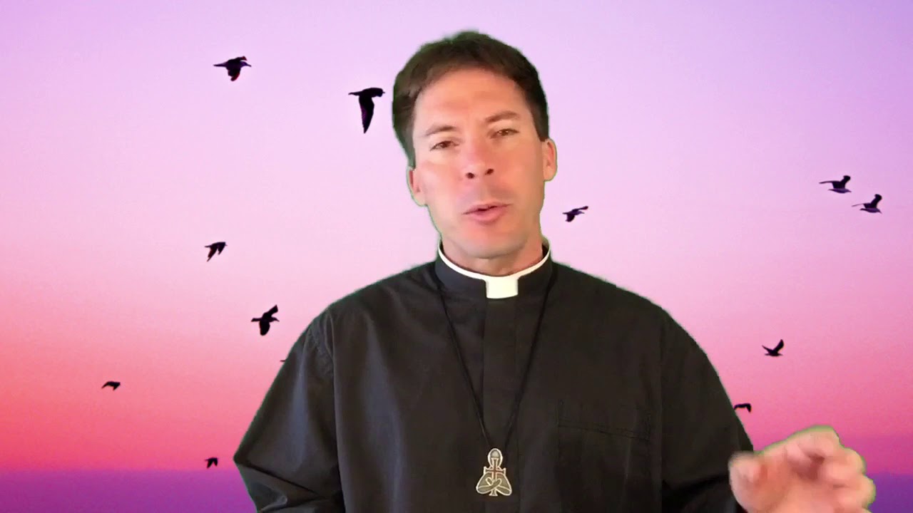 Do not despise small things - Fr. Mark Goring CC - YouTube