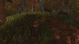 Trying to Show Grass Collision in Skyrim