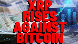 As The Speculative Lemmings PANIC Today, XRP RISES AGAINST BITCOIN