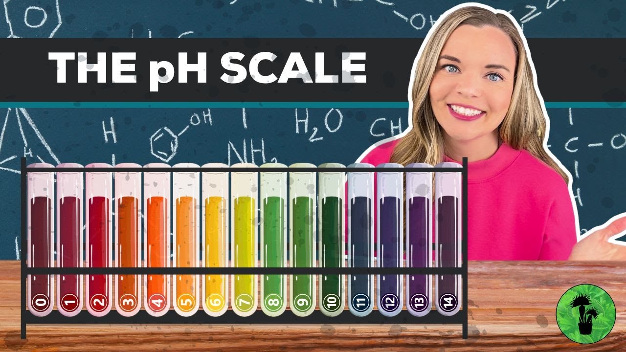 Acids Bases &amp; the pH Scale - YouTube