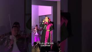 “A LA LUZ DE LOS COCUYOS” Sandra Guevara 