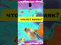 Хомяк выбирает: зоокорм, яблоко или семечки? 🐹 #shorts