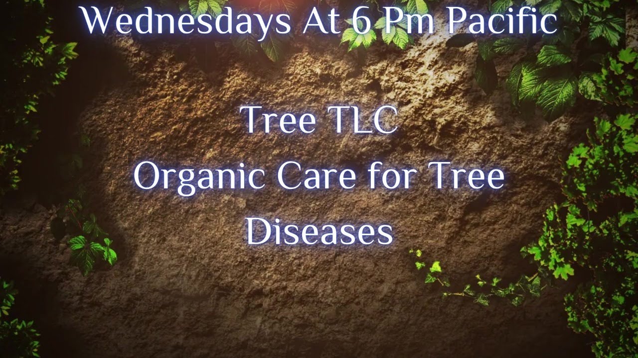 Tree Tlc Gardens The Untold Story: Tree TLC - YouTube