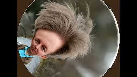 Disc automorphism face