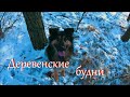 Последние дни декабря // Жизнь на хуторе