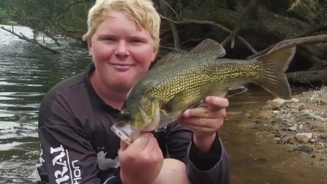 upper clarence river fishing